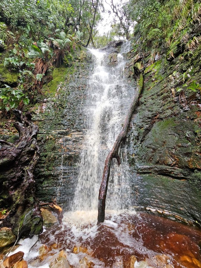 Waterfall near Amethyst Lodge